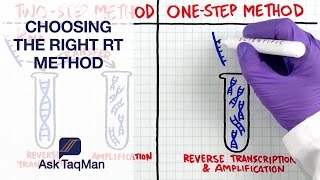 Thermo Fisher Video3