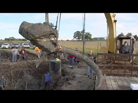 USA: Farmer entdeckt Mammut