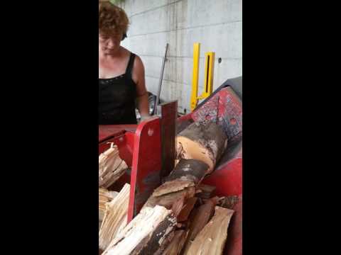 T 1000 HYDRO - Scies automatiques pour le bois de chauffage