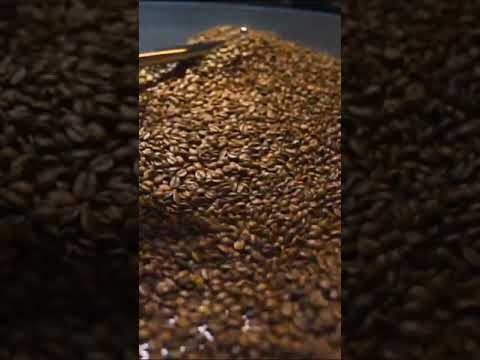 فرايز كافي شوب الخبر