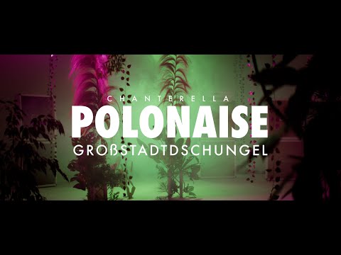 Chanterella - Polonaise (Großstadtdschungel) offizielles Musikvideo
