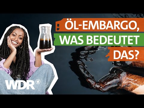 Kann die EU auf russisches Öl verzichten? | neuneinhalb | WDR