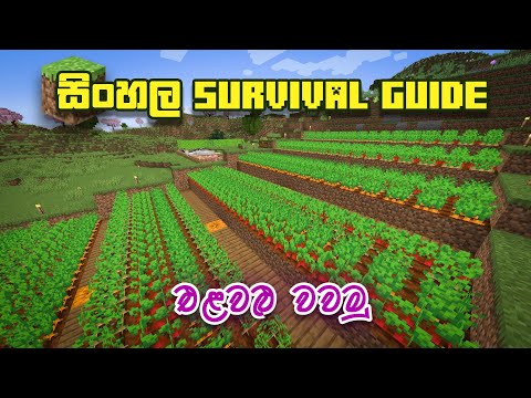 Ultimate Minecraft Vegetable Farm Build - Ep 27