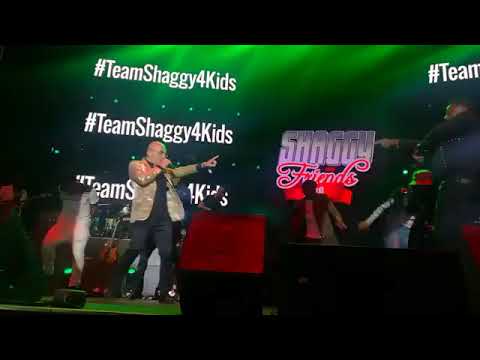 Costi & Ding Dong live at Shaggy&Friends 2018 - by Jamaica Gleaner “Catching the new dance"