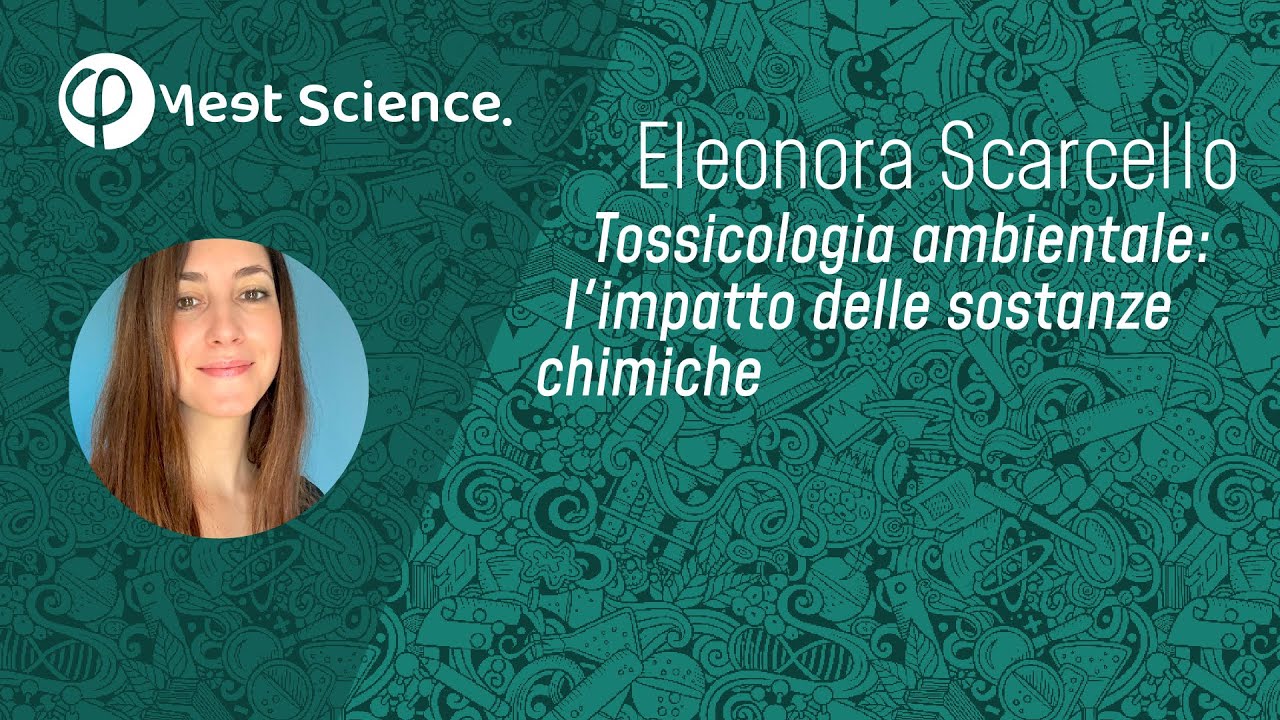 Tossicologia ambientale: l'impatto delle sostanze chimiche su di noi