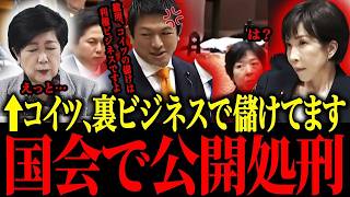 ※神谷宗幣が国会で小池のクソ政策で公金チューチューを暴露！【小池百合子　さとうさおり 片山さつき 東京都議会】