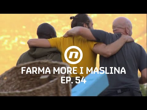 Novi obrat na Farmi - Epizoda 54 | Farma More i Maslina