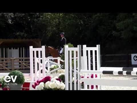 Lord Harrie du Mesnil ALLURES