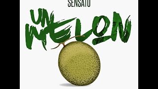 Un Melón Music Video