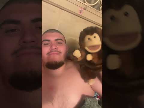 #shotrs #reels #seattle #viral #monkey #chabelo #dog