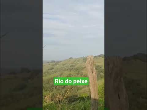 RIO DO PEIXE VISTO DAS MONTANHAS DE ROSARIO DO IVAI PR.