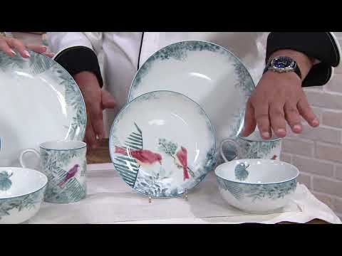 Darbie Angell Birds of a Feather 16-Pc Porcelain Dinnerware Set on QVC