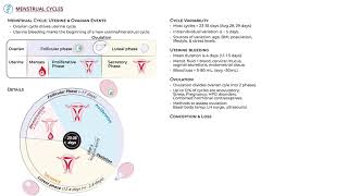 Menstrual Cycles - Variability & Clinical Terms by Ditki, Medical & Biological Sciences