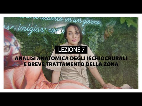 Lezione 7  - CORSO DI ANATOMIA - Ischiocrurali e loro trattamento