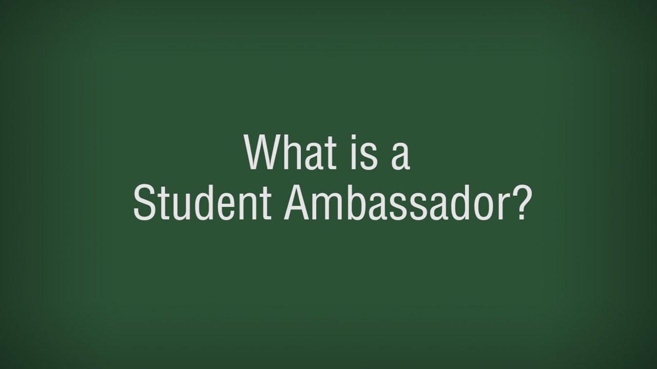 Why You Should Become a Student Ambassador