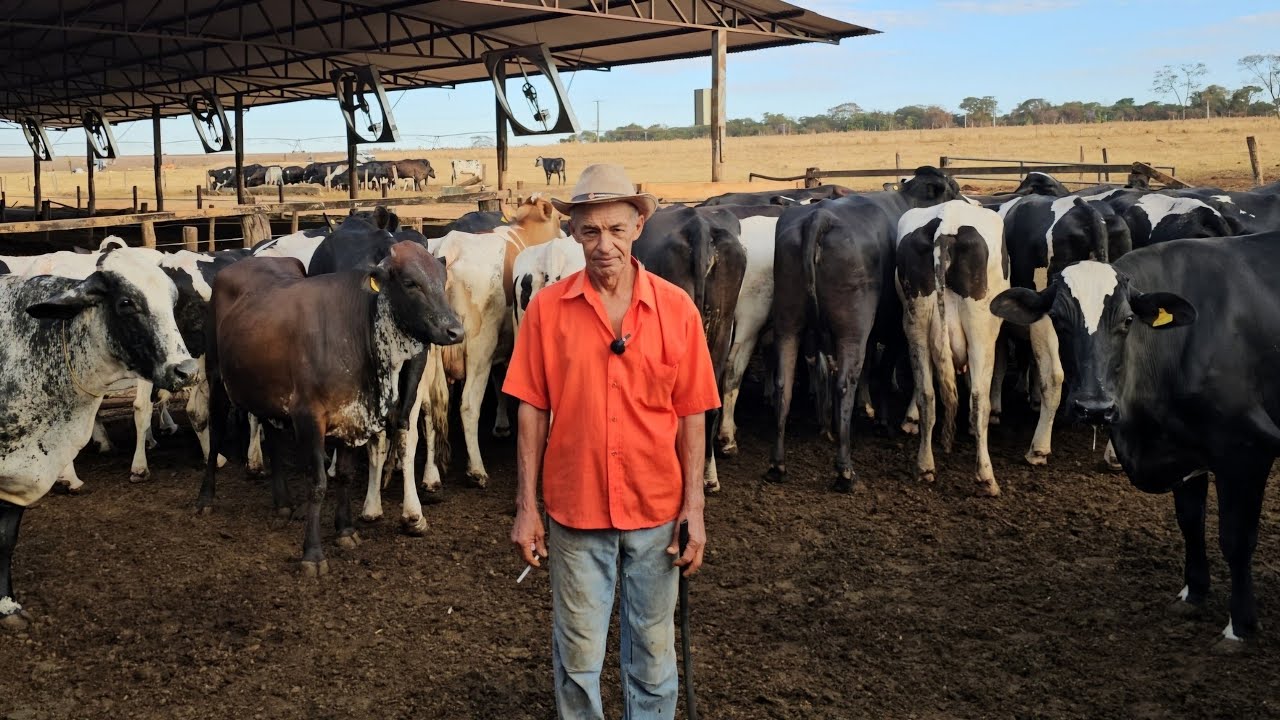 ELES CONQUISTARAM TUDO DO LEITE E COM MUITA ECONOMIA