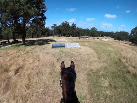 Harvey CNC 95cm XC Head Cam