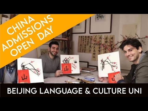 Online Group General Graded Chinese Classes (0 to HSK5) Video