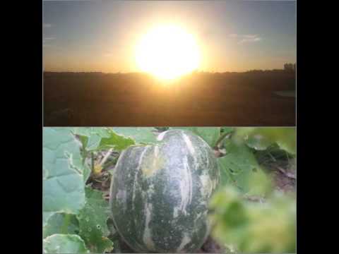 Tumnounh Ampopich by Ros Serei Sothea