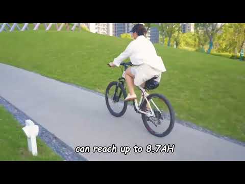 The Top choice for weekend bicycling tours ‖ LVBU KD30S Ebike kit