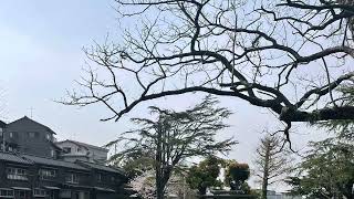 【下関市】小さな公園　関西公園