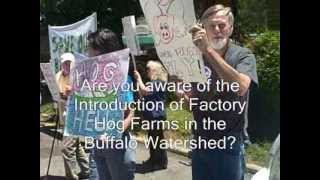 Buffalo River Hog Farm Protest