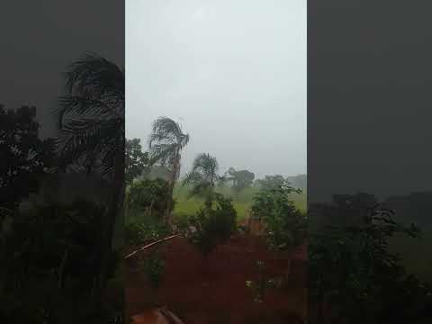 choveu  muito aqui hoje na mata do Pará em Heitoraí Goiás. @Tiagoetaicia
