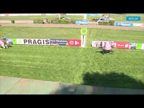 Dostihy Lysá nad Labem 1. 5. 2025 - Pony liga 2025 s CK Martin Tour - 2. oddělení