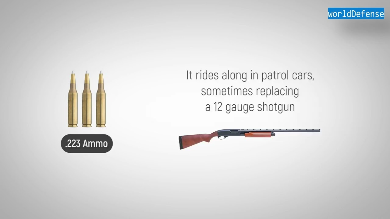 223 Ammo- The Forgotten Caliber History of 223 Ammo Explained