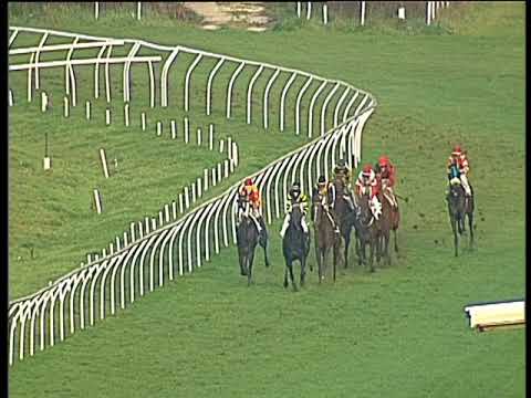 Galoppo 20/02/2018 - 4ª corsa