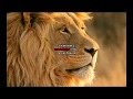 Pmln Song Dekho Dekho Kon Aya Sher Aya Sher Aya