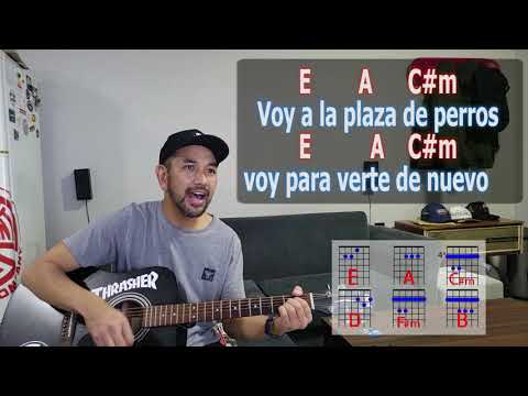 Plaza De Perros - Attaque 77