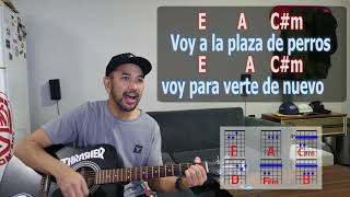 Plaza de perros - Attaque 77 ( cover acustico ) +Letra +Acordes de guitarra.&quot;C#m&quot; esta mal el dibujo