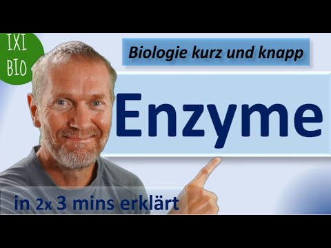 Enzyme - Alles Wichtige für das Abi in 2x3 Minuten einfach erklärt - Biologie kurz und knapp