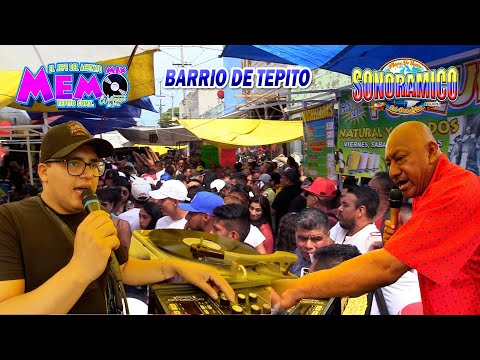 Surprise Everyone!! A Two-Voice Vinyl | SONORAMICO & MEMOMIX | Manuel the Cat | TEPITO