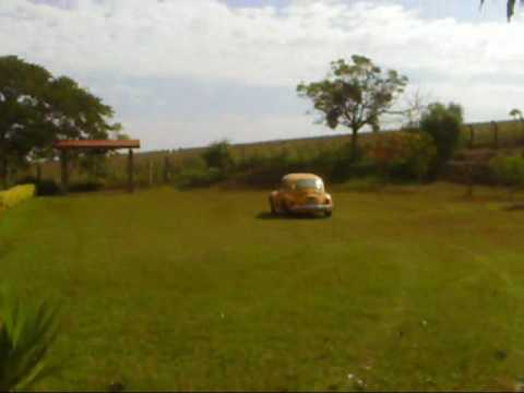 Letícia Domingues no volante