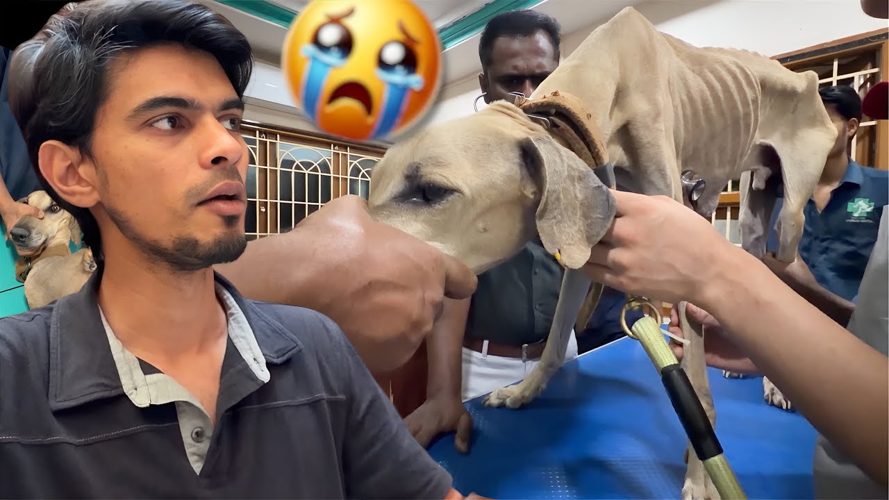 MAARAN in DANGER...🤯