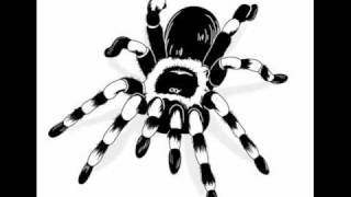 Pleasurekraft- Tarantula(George R. Remix)