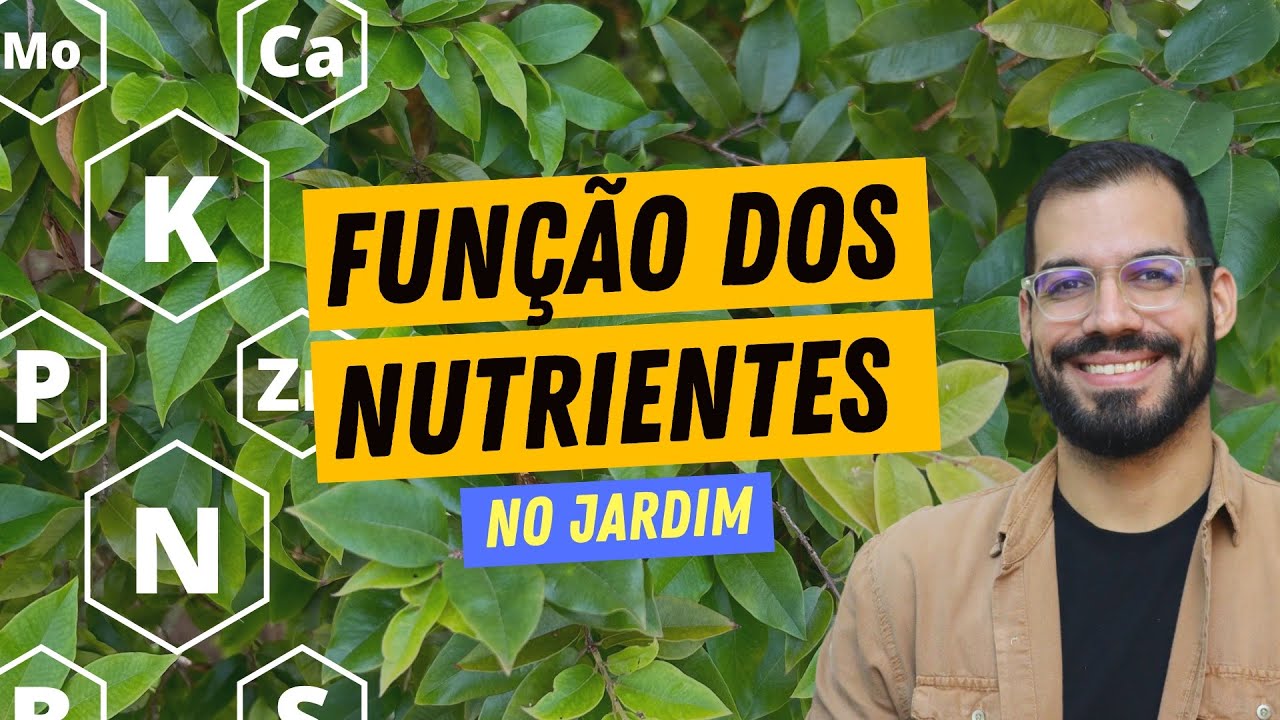 A FUNÇÃO dos NUTRIENTES nas plantas