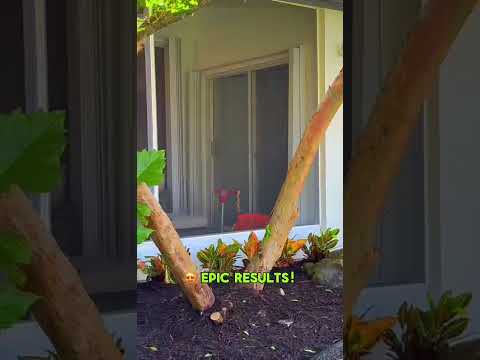 Small Backyard? No Problem | EPIC Sideyard Makeover for Family Fun