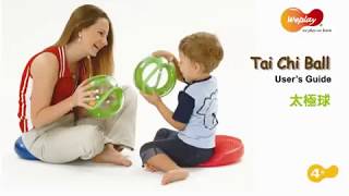 Tai-Chi koule - hra na rozvoj zručnosti a reflexů | DM0001