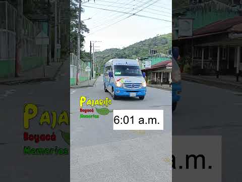 Pajarito - Boyacá (6:01 a.m.) 08/12/2025