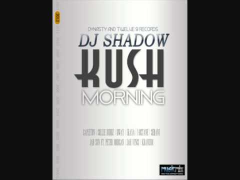KUSH MORNING RIDDIM MIX 2012 (DJ SHADOW) DYNASTY & TWELVE 9 RECORDS