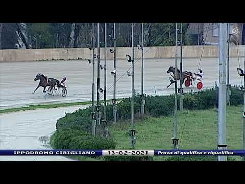 Aversa trotto 13 Febbraio 2021 - Prova di qualifica e riqualifica