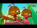 Knight Fight 1 Hour Antiks Full Episodes Funny Insect Cartoons For Kids