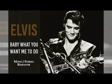 Elvis Presley - Baby What You Want Me To Do [mono stereo remaster]