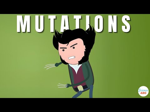 Was sind Mutationen und welche Arten von Mutationen gibt es?