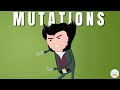 What are Mutations and what are the different types of Mutations?
