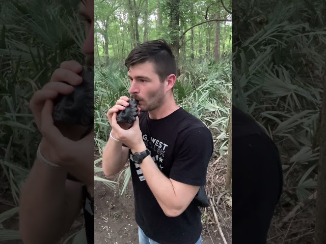 Vídeo relacionado con Authentic Aztec Whistle - Death Loud Scream Spooky Whistle, High Decibel Human-Like Screams for Rituals, Ceremonial Use, Halloween, Haunted Events, Theatrical Effects, and Scary Decorations