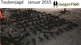 preview picture of video 'Pigeon Hunt/Taubenjagd für den guten Zweck mit der Franchi Affinity 2015'